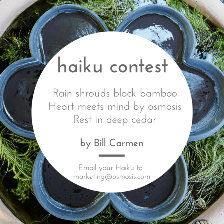 Haiku Writing Contest Osmosis Day Spa Sanctuary